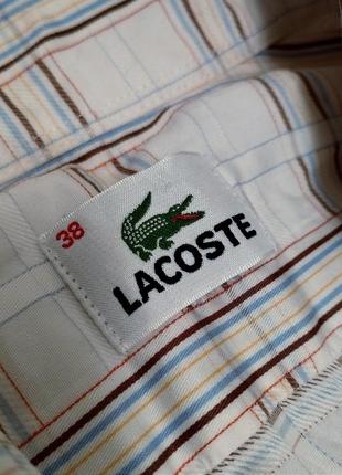 Чоловіча сорочка lacoste, в ідеальному стані, розмір m-l3 фото