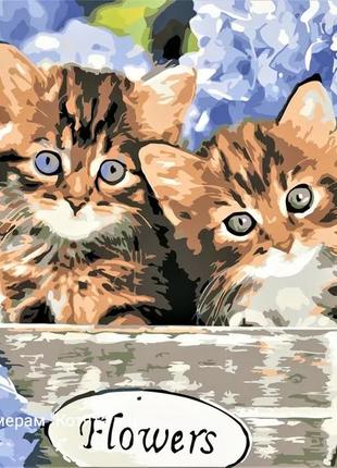 Картина по номерам artstory 30*40 котята в цветах кот
