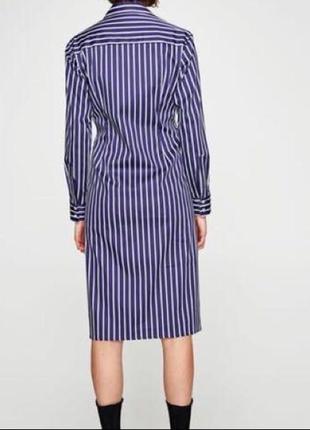 Zara сукня сорочка котон5 фото