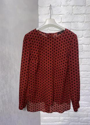 Блузка в горошок, ассиметричная свободная блуза в горошек george, s3 фото