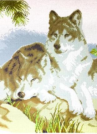 Схема для вышивания крестиком на канве а3:а3-18-43