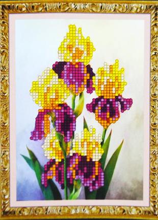 Набор для вышивания бисером 9х13см:мм-102 ирисы