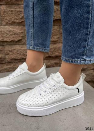 Кеды перфорация 💔