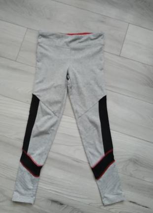 Лосіни легенси