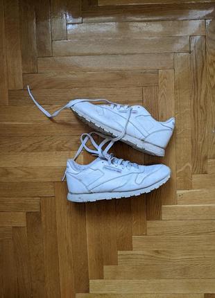 Кросівки reebok classic оригінал