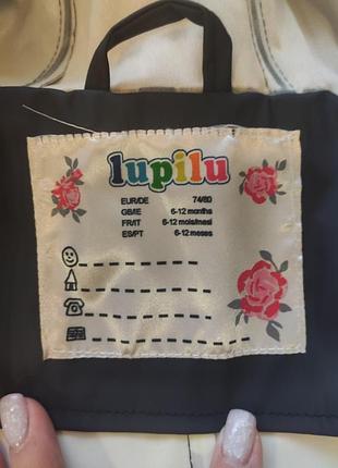 Дощовик lupily 2