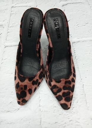 Леопардовые велюровые мюли бархатные на каблуке кожа натуральная сабов лодочки узкий носок cos5 фото