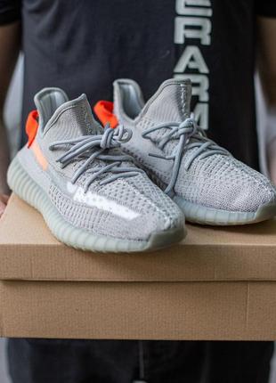 Жіночі кросівки adidas yeezy boost 350 v2 tail light 36-37-38-39-411 фото