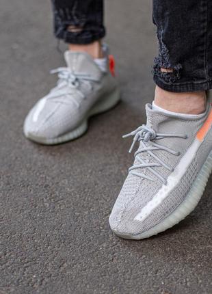 Жіночі кросівки adidas yeezy boost 350 v2 tail light 36-37-38-39-413 фото