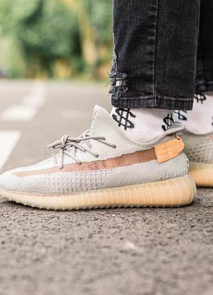 Жіночі кросівки adidas yeezy boost 350 v2 true form 36-37-38-39-411 фото