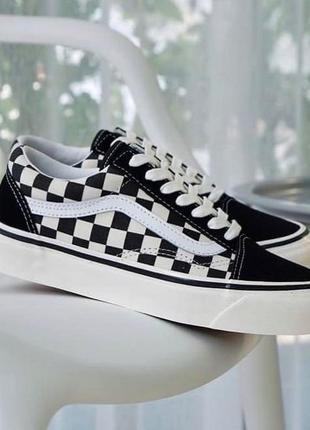 Vans old skool primary check