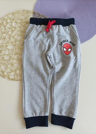 Спортивні штани спортивние spider man