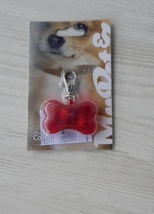 Брелок-ліхтарик адресовка для собак кісточка my petez німеччина2 фото