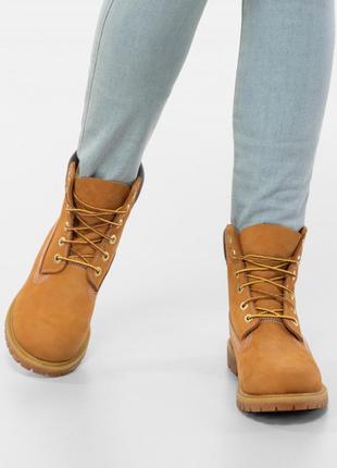 Ботинки timberland premium 6-inch waterproof модель tb0103617131 фото