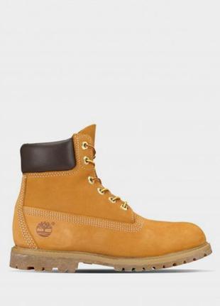 Ботинки timberland premium 6-inch waterproof модель tb0103617132 фото