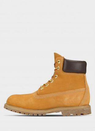 Ботинки timberland premium 6-inch waterproof модель tb0103617133 фото