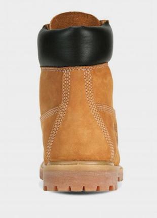 Ботинки timberland premium 6-inch waterproof модель tb0103617135 фото