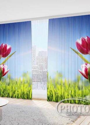 Фото шторы "тюльпаны на траве" 2,7м*5,0м (2 полотна по 2,50м), тесьма