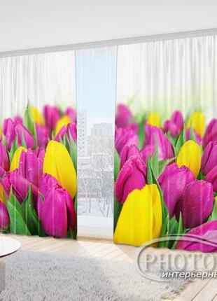 Фото штори "букет тюльпанів" 2,7 м*5,0 м (2 полотна по 2,50 м), тасьма