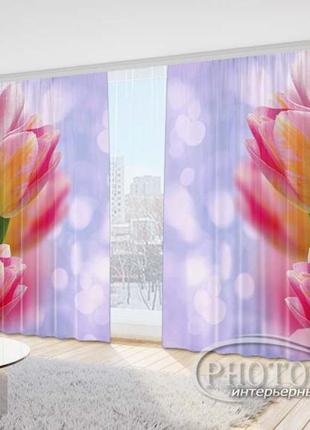 Фото шторы "розовые тюльпаны на фиолетовом фоне" 2,7м*5,0м (2 полотна по 2,50м), тесьма
