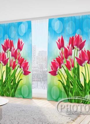 Фото шторы "тюльпаны на голубом фоне" 2,7м*5,0м (2 полотна по 2,50м), тесьма