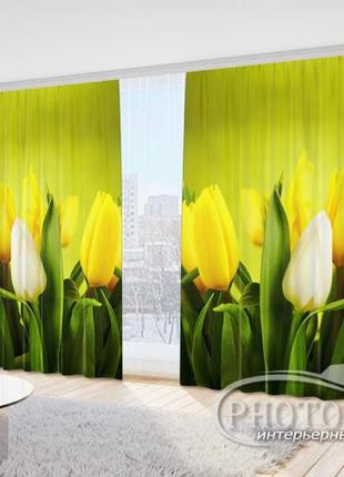 Фото шторы "желтые с белыми тюльпанами 1" 2,7м*5,0м (2 полотна по 2,50м), тесьма