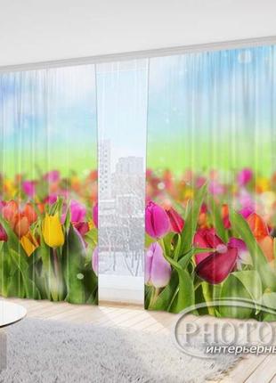 Фото шторы "поле с разноцветными тюльпанами" 2,7м*5,0м (2 полотна по 2,50м), тесьма