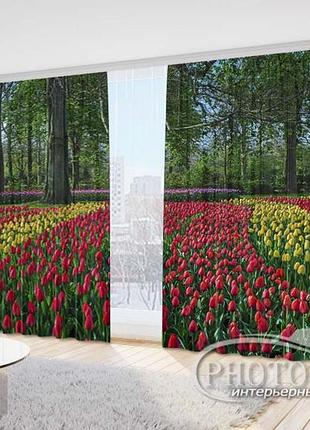Фото шторы "поле с тюльпанами" 2,7м*4,0м (2 полотна по 2,0м), тесьма