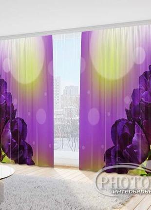 Фото штори "фіолетові тюльпани" 2,7 м*5,0 м (2 полотна по 2,50 м), тасьма