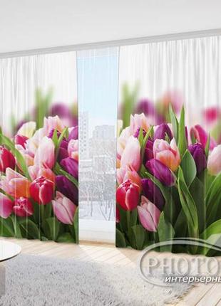 Фото шторы "поле с тюльпанами 1" 2,7м*4,0м (2 полотна по 2,0м), тесьма1 фото