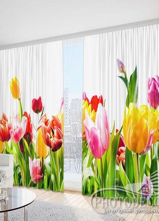 Фото штори "різнокольорові тюльпани 1" - будь-який розмір, читаємо опис!
