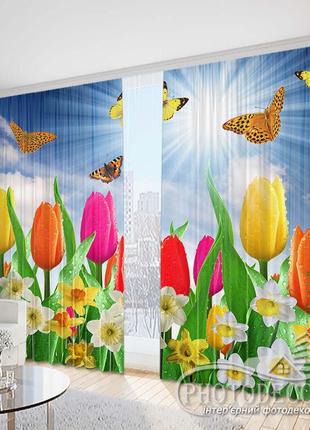 Фото штори "тюльпани і нарциси з метеликами" - будь-який розмір, читаємо опис!2 фото
