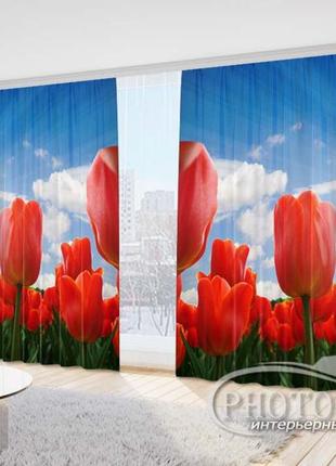 3d фотоштори «червоні тюльпани в полі» на замовлення, 1 м²