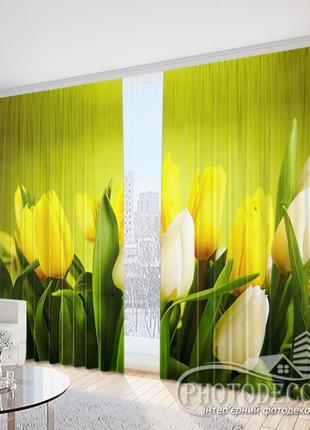 Фото шторы "желтые с белыми тюльпанами 1" - любой размер, читаем описание!2 фото