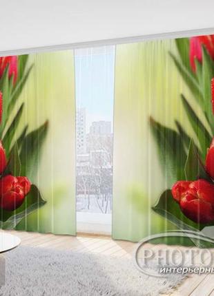 Фото штори "червоні тюльпани" 2,7 м*4,0 м (2 полотна по 2,0 м), тасьма