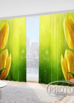 Фото шторы "желтые тюльпаны на зеленом фоне 2" 2,7м*4,0м (2 полотна по 2,0м), тесьма