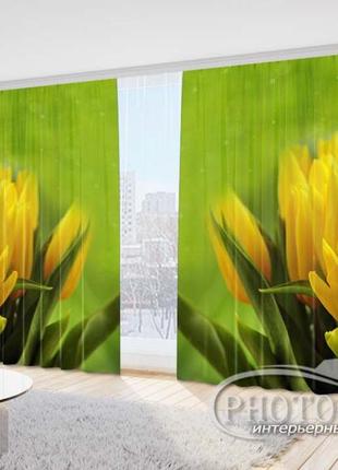 3d фотоштори «жовті тюльпани на зеленому фоні» на замовлення, 1 м²