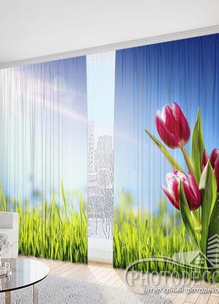 Фото шторы "красные тюльпаны на солнце" 2,5м*2,9м (2 полотна по 1,45м), тесьма