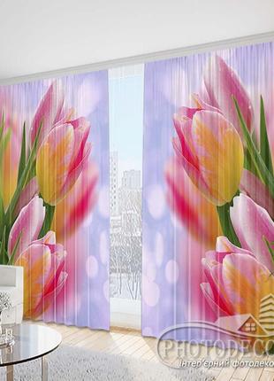 Фото шторы "розовые тюльпаны на фиолетовом фоне" - любой размер, читаем описание!2 фото