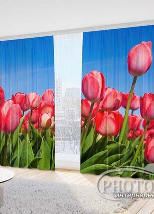 Фото шторы "поле с красными тюльпанами" 2,5м*2,9м (2 полотна по 1,45м), тесьма2 фото
