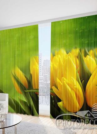 Фото шторы "желтые тюльпаны на зеленом фоне" 2,5м*2,9м (2 полотна по 1,45м), тесьма