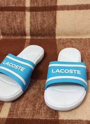 Шлепки тапки lacoste2 фото