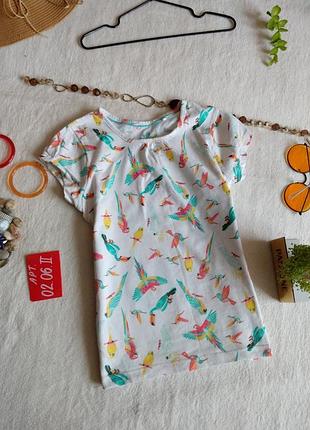Футболка з хлопку lupilu 110/116 см