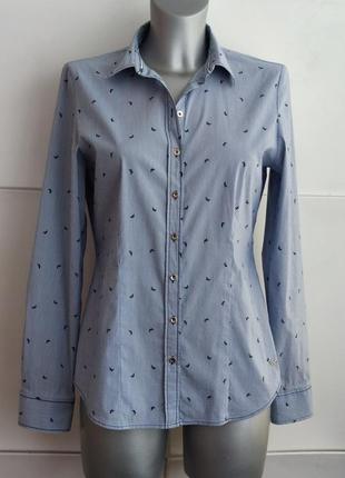 Сорочка erfo з принтом в смужку