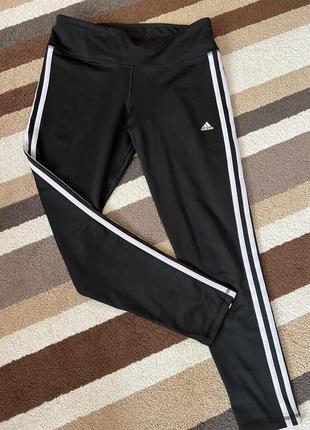 Спортивні штани adidas m