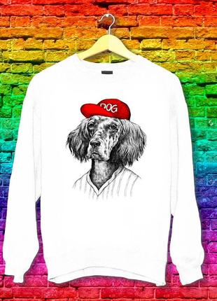 Свитшот с принтом пес бейсболист push it