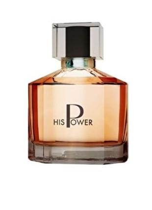 His power 100ml.1 фото