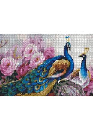 Алмазна мозаїка павичі в кольорах 50х25 см ba-0007