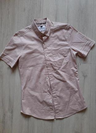 Topman сорочка чоловіча бавовна сорочка чоловіча шведка нова