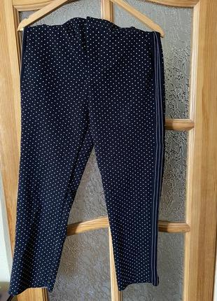 Жіночі штани zara basics